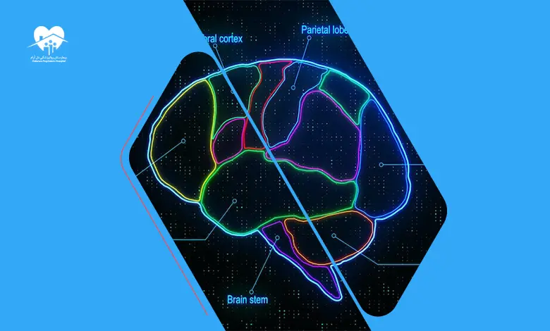 نحوه خواندن نقشه مغزی (QEEG) برای تشخیص دقیق